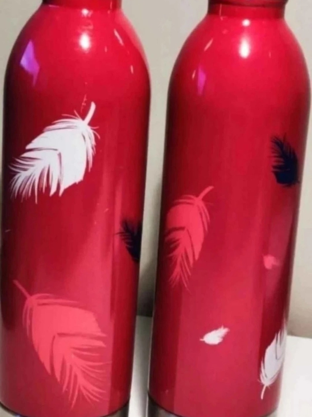 TWO DavidsTEA Stainless Steel Double Wall Water Bottle Feathers Design On Red